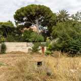 ...che usufruiva anche del terreno sottostante alla dimora dove c�era un grande agrumeto e un roseto...